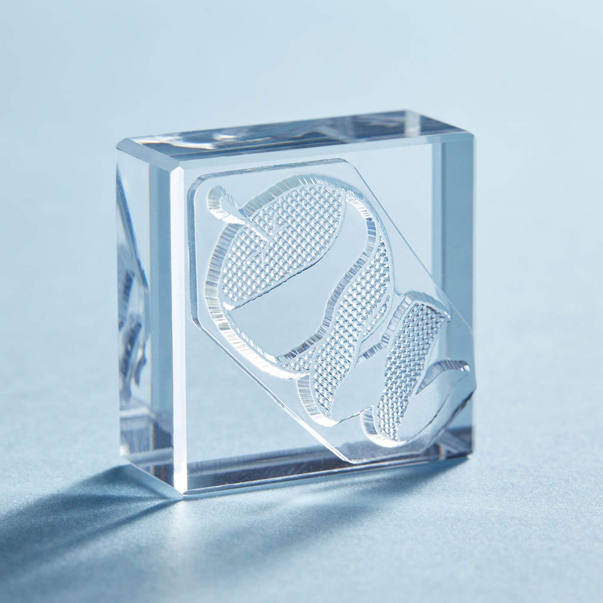 King Jim HITOTOKI Kori Jirushi Ice Cube Stamp Large - Apple - Clear Stamps