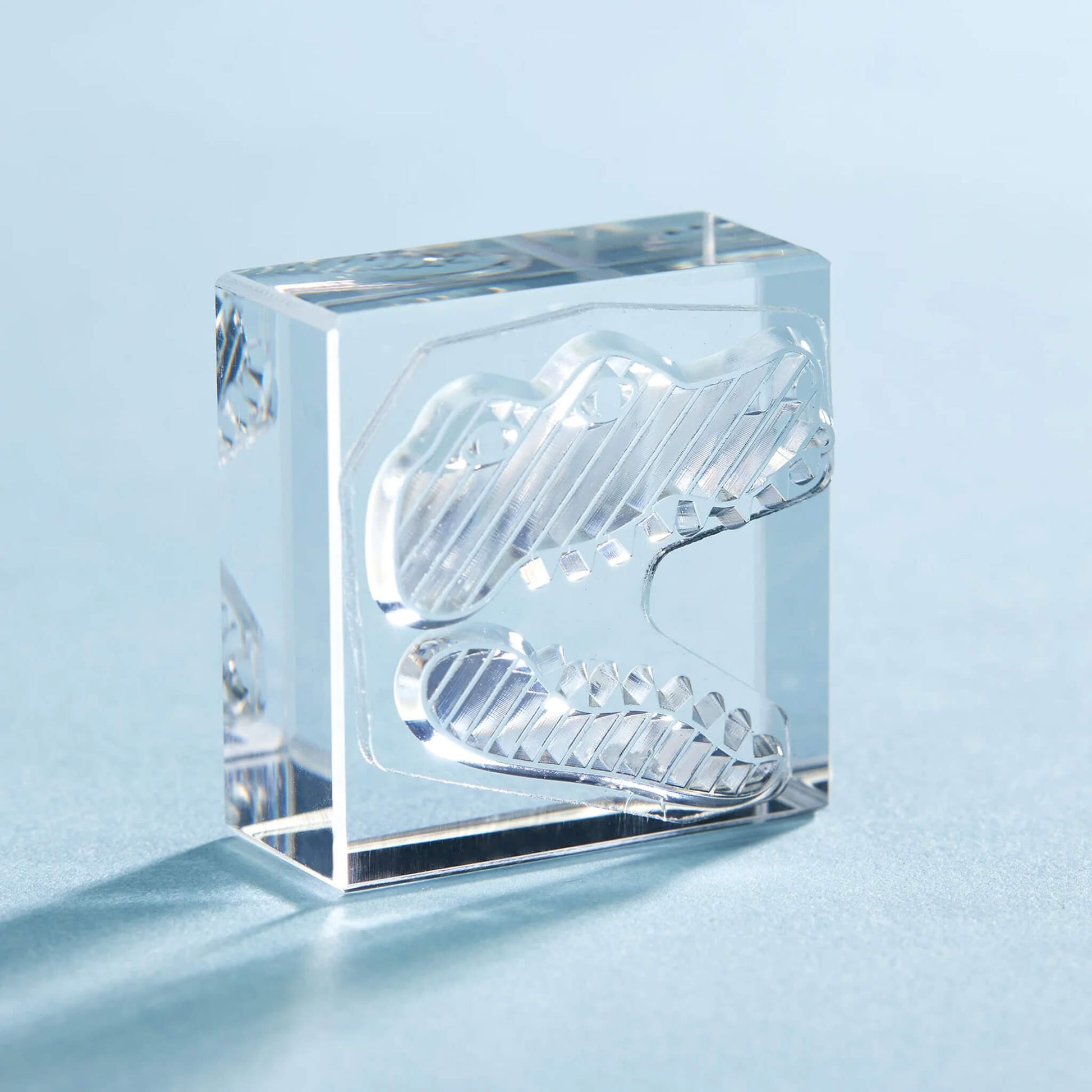 King Jim HITOTOKI Kori Jirushi Ice Cube Stamp Large - Crocodile - Clear Stamps