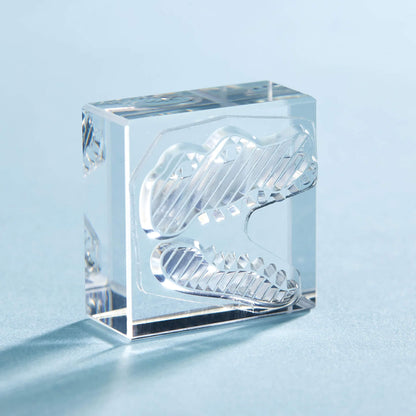 King Jim HITOTOKI Kori Jirushi Ice Cube Stamp Large - Crocodile - Clear Stamps