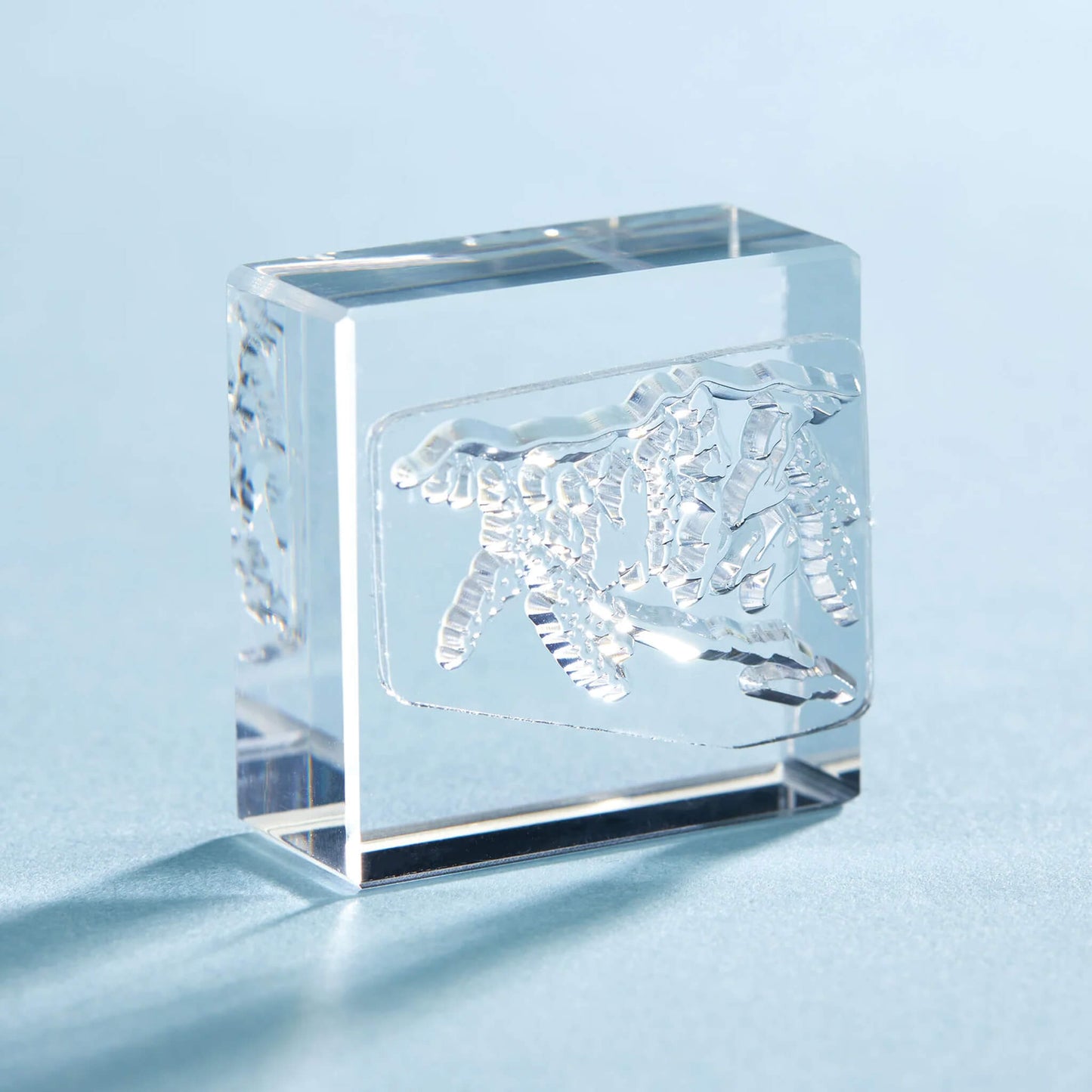 King Jim HITOTOKI Kori Jirushi Ice Cube Stamp Large - Mountain - Clear Stamps
