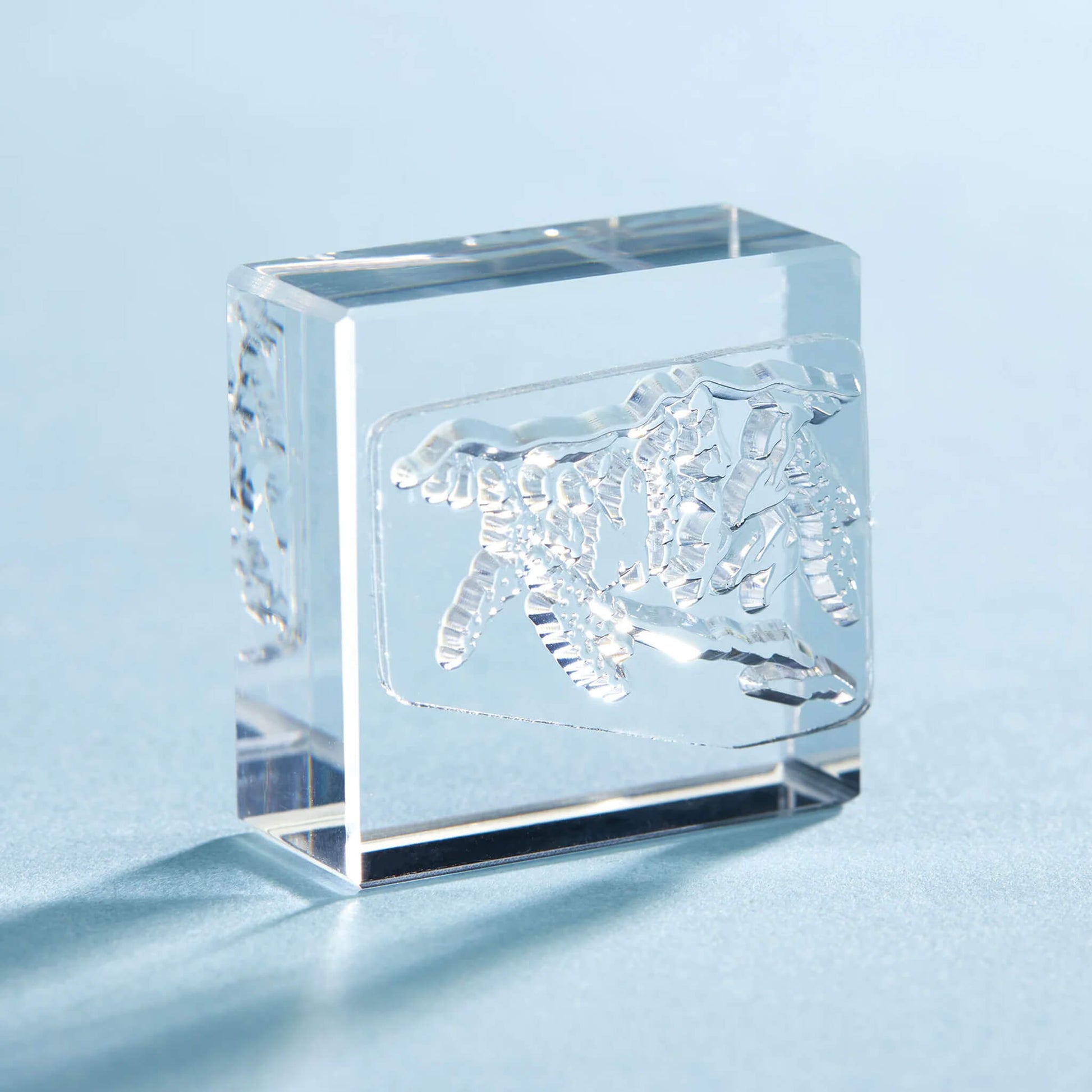 King Jim HITOTOKI Kori Jirushi Ice Cube Stamp Large - Mountain - Clear Stamps