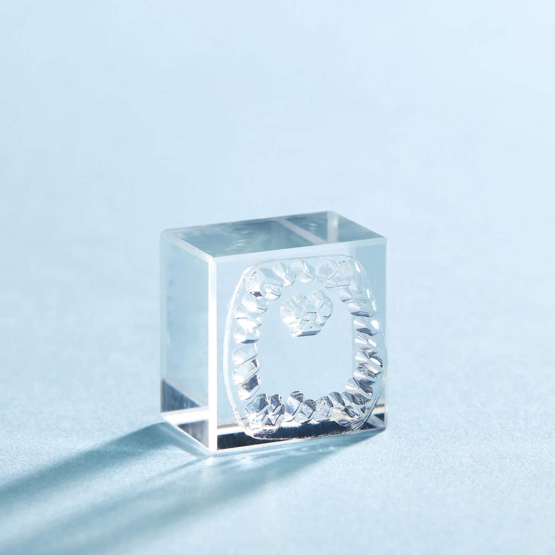 King Jim HITOTOKI Kori Jirushi Ice Cube Stamp Small - Pomeranian - Clear Stamps