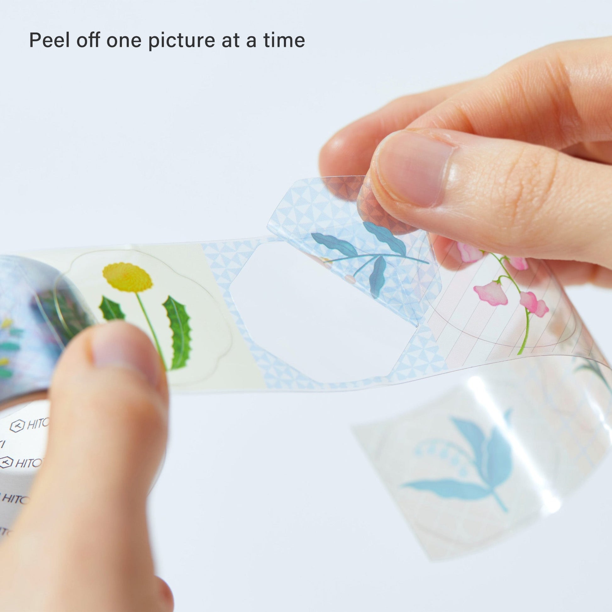 King Jim HITOTOKI SODA Roll Sticker - Wild Flower [30mm] - Roll Stickers