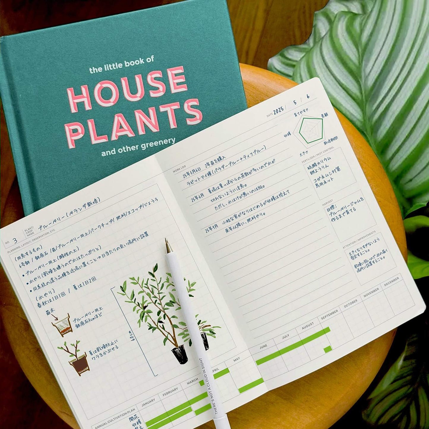 LACONIC Style Notebook B6 Green Plant Journal - Guided Journals