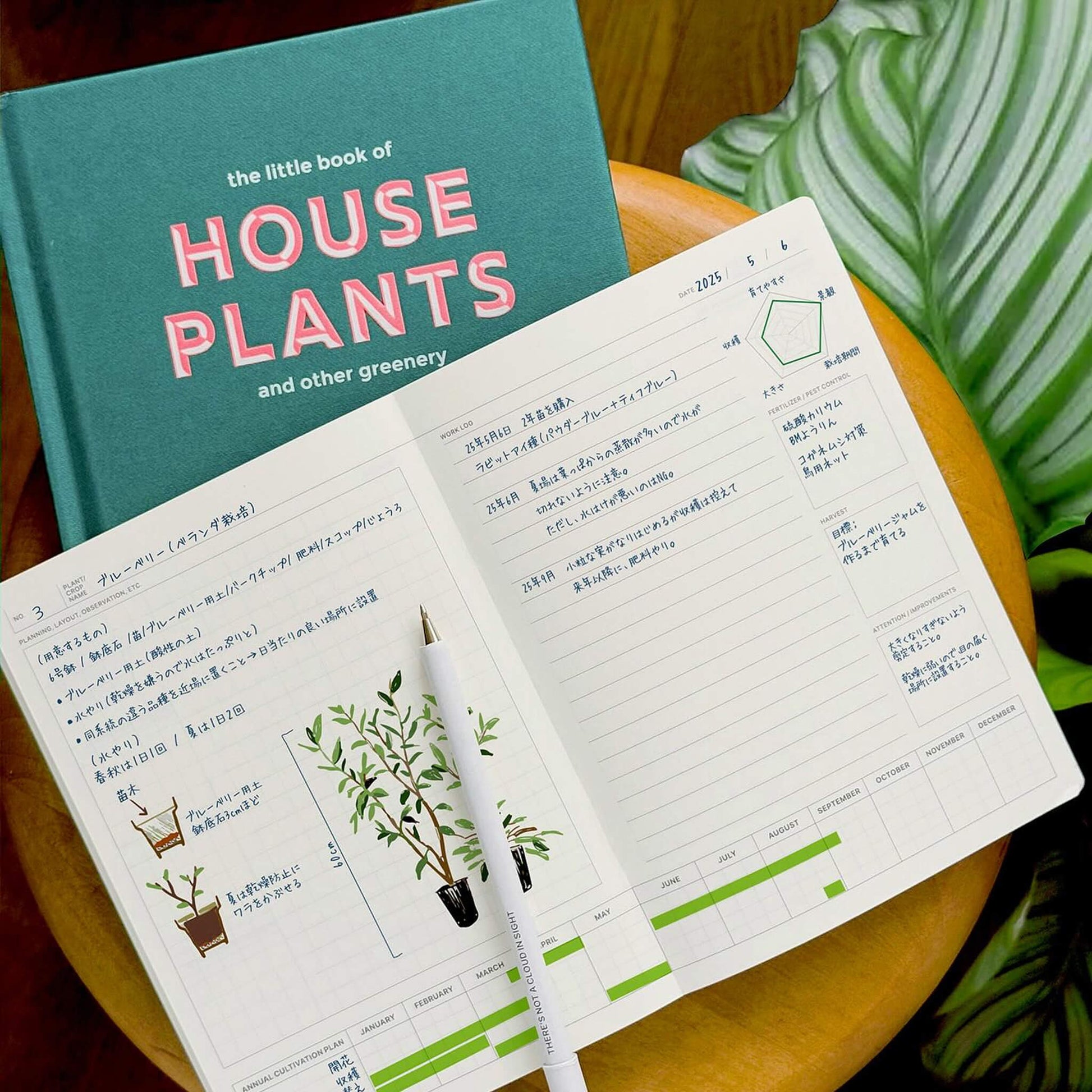 LACONIC Style Notebook B6 Green Plant Journal - Guided Journals