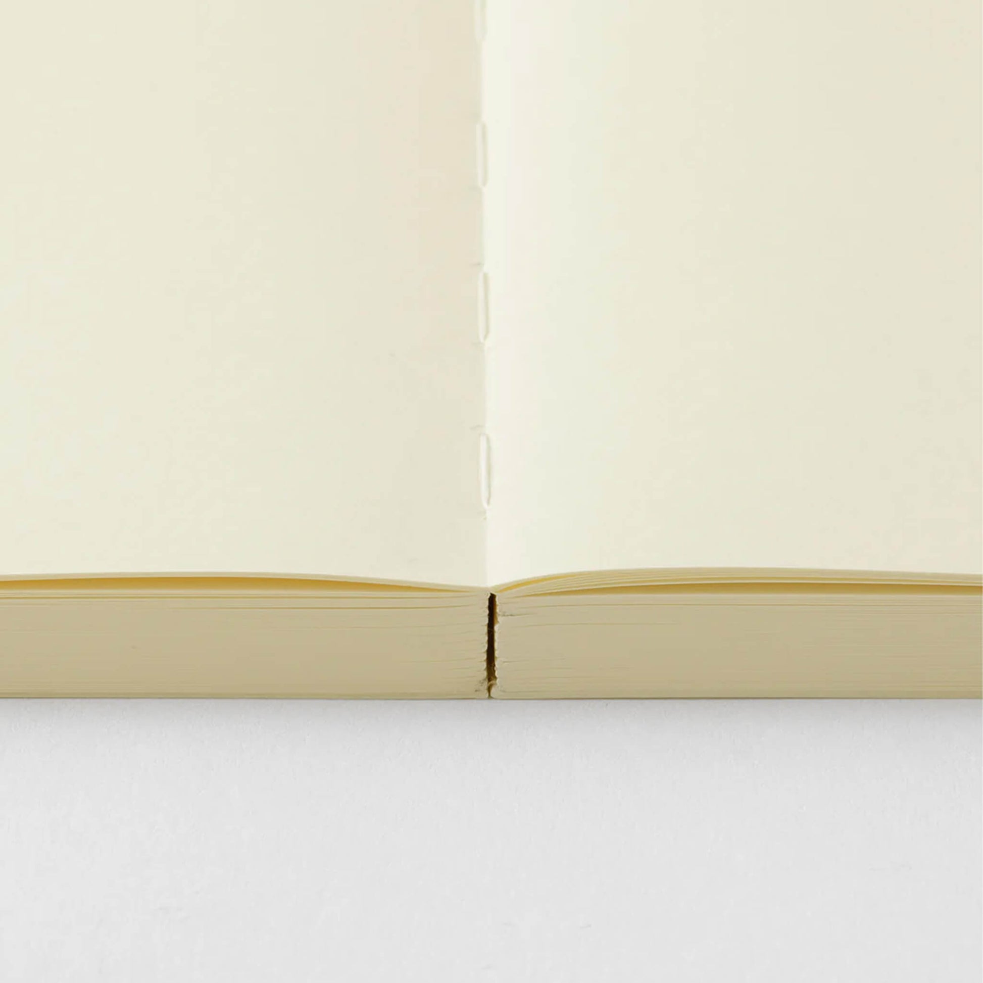 MD Notebook Codex 1 Day 1 Page [A5] Blank - Notebooks