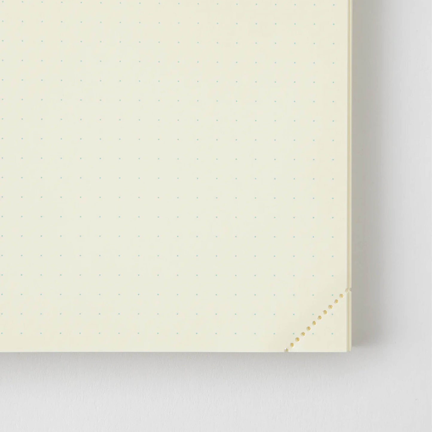 MD Notebook Codex 1 Day 1 Page [A5] Dot Grid - Notebooks