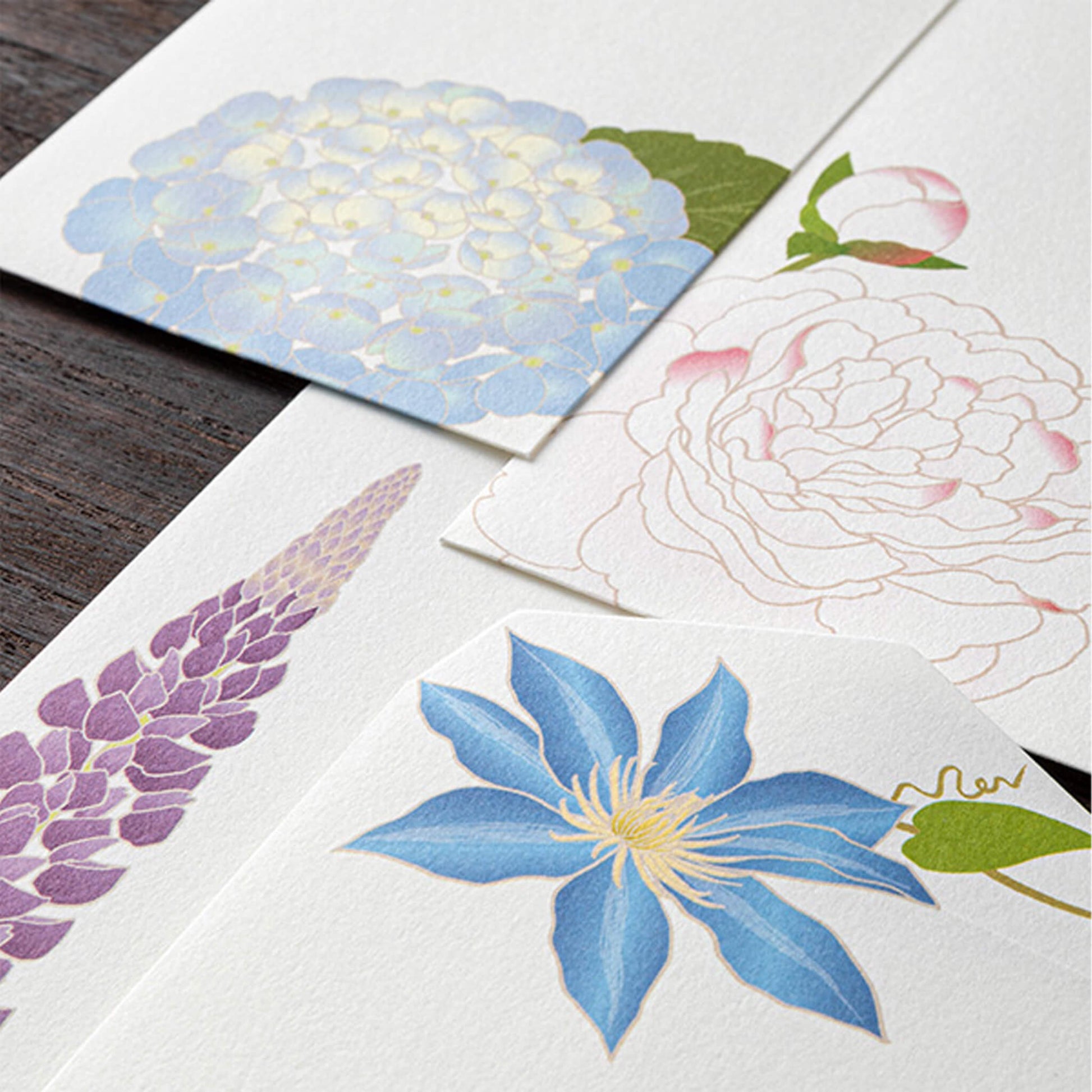 Midori Kami Series Envelope - Summer Flowers S5 | 4 Designs - Envelopes