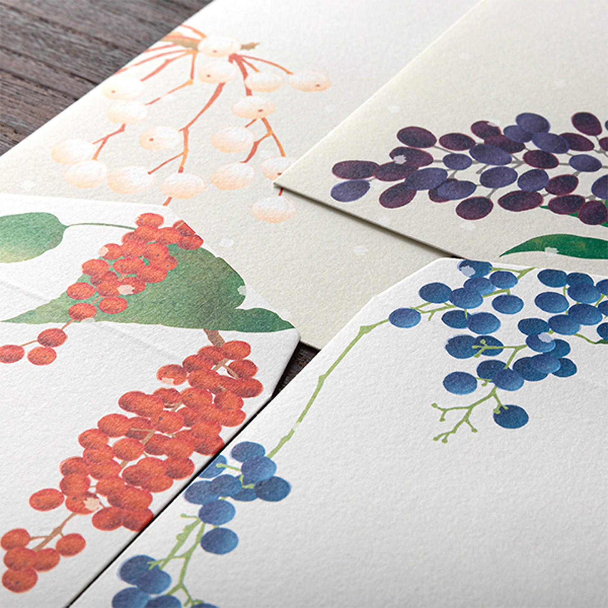 Midori Kami Series Envelope - Winter Fruit - Envelopes