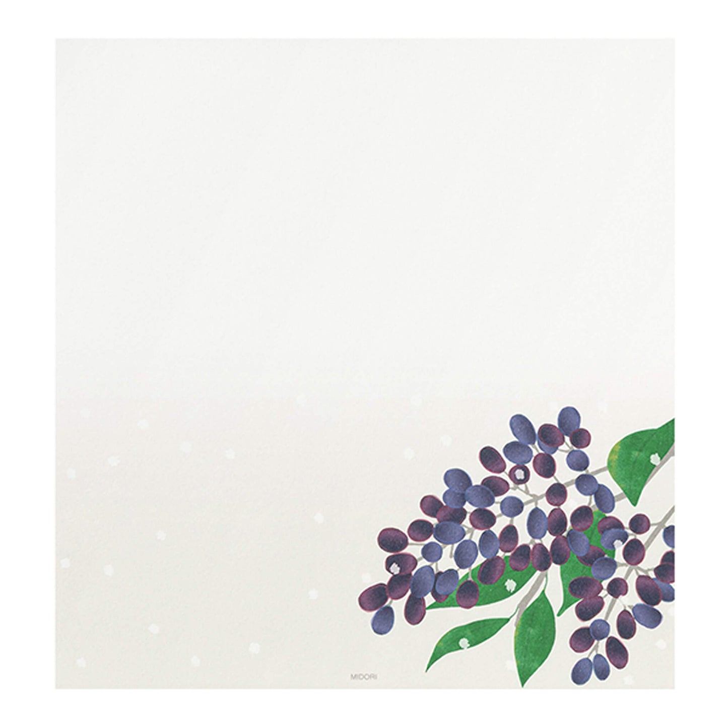 Midori Kami Series Letter Pad - Winter Fruit - Letter Writing Pads