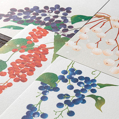 Midori Kami Series Letter Pad - Winter Fruit - Letter Writing Pads
