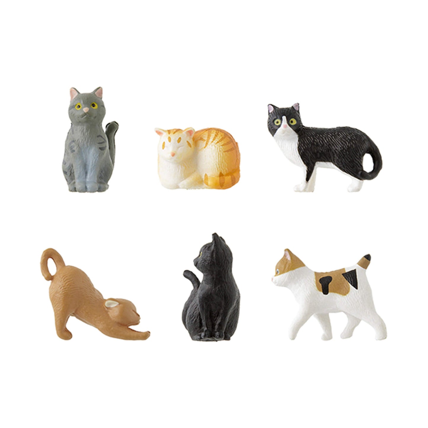 Midori Miniature Magnets 6 - pc Set Cat C - Magnets