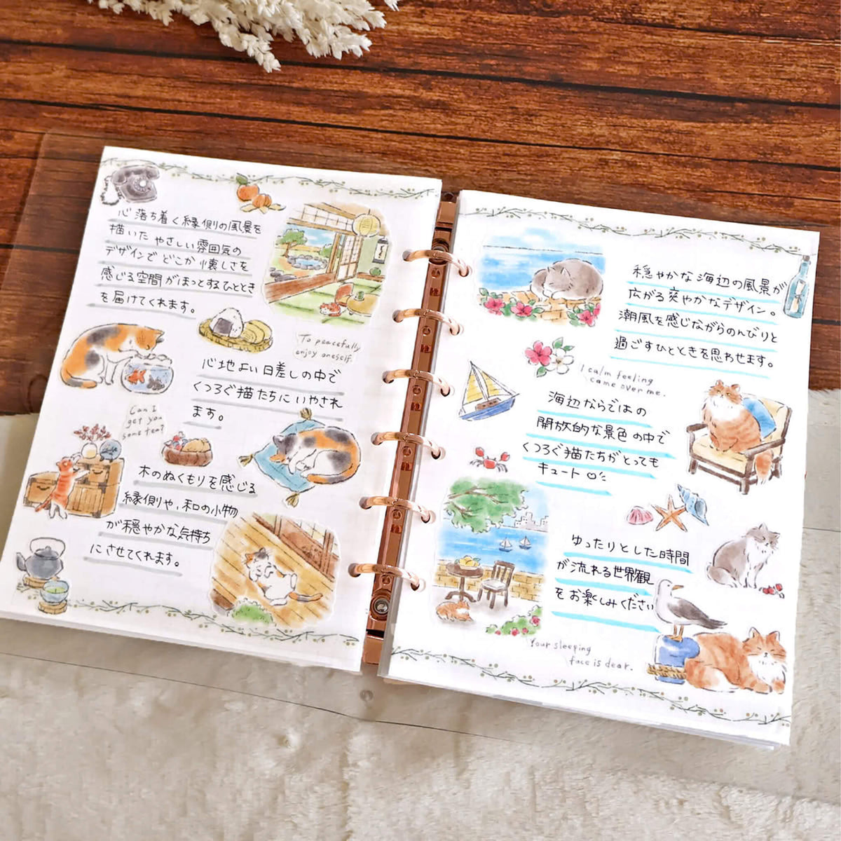 Mind Wave Nyan‌ko Biyori Sticker - Seaside - Sticker Sheets