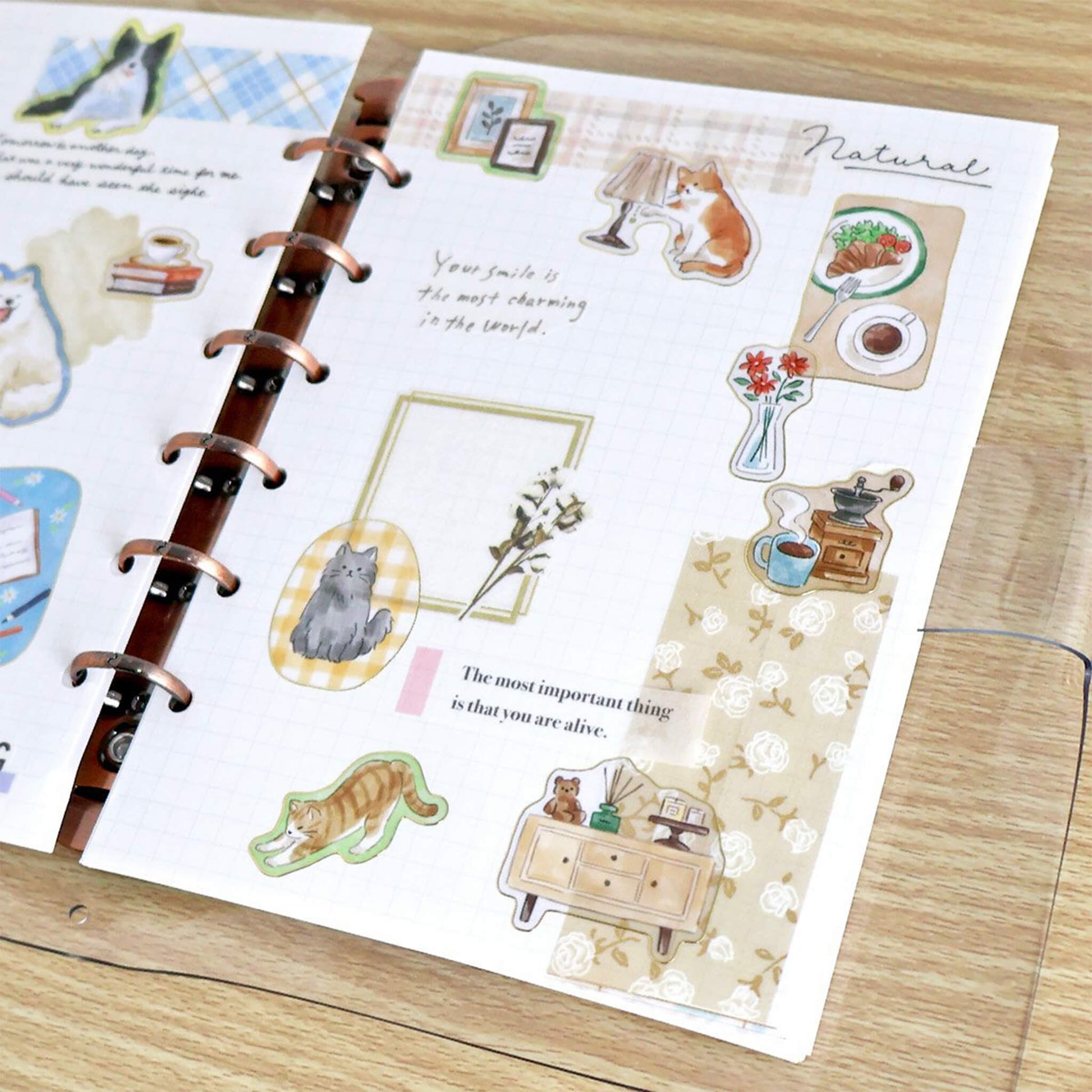 Mind Wave With Animal Sticker - Cat - Sticker Sheets