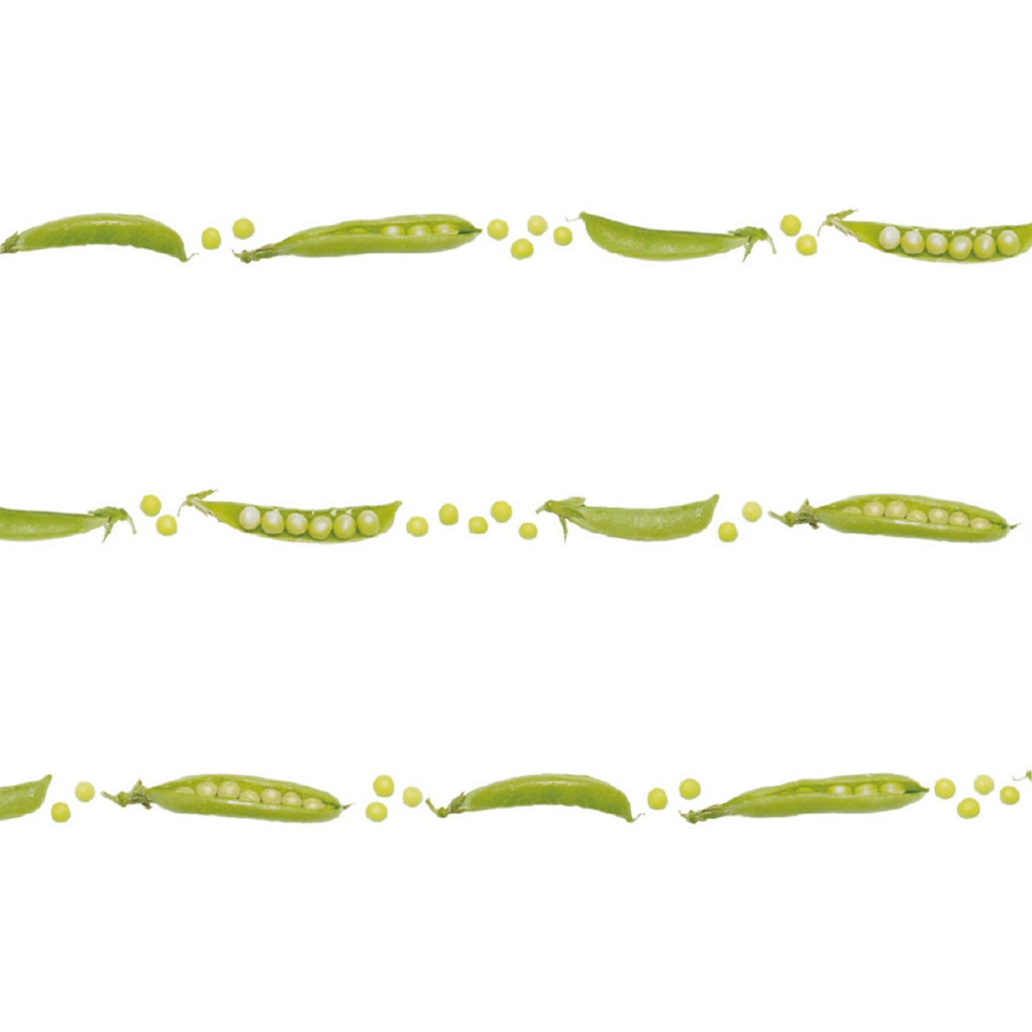 MT ex Slim Washi Tape - Snap Pea [7mm Width] - Washi Tapes