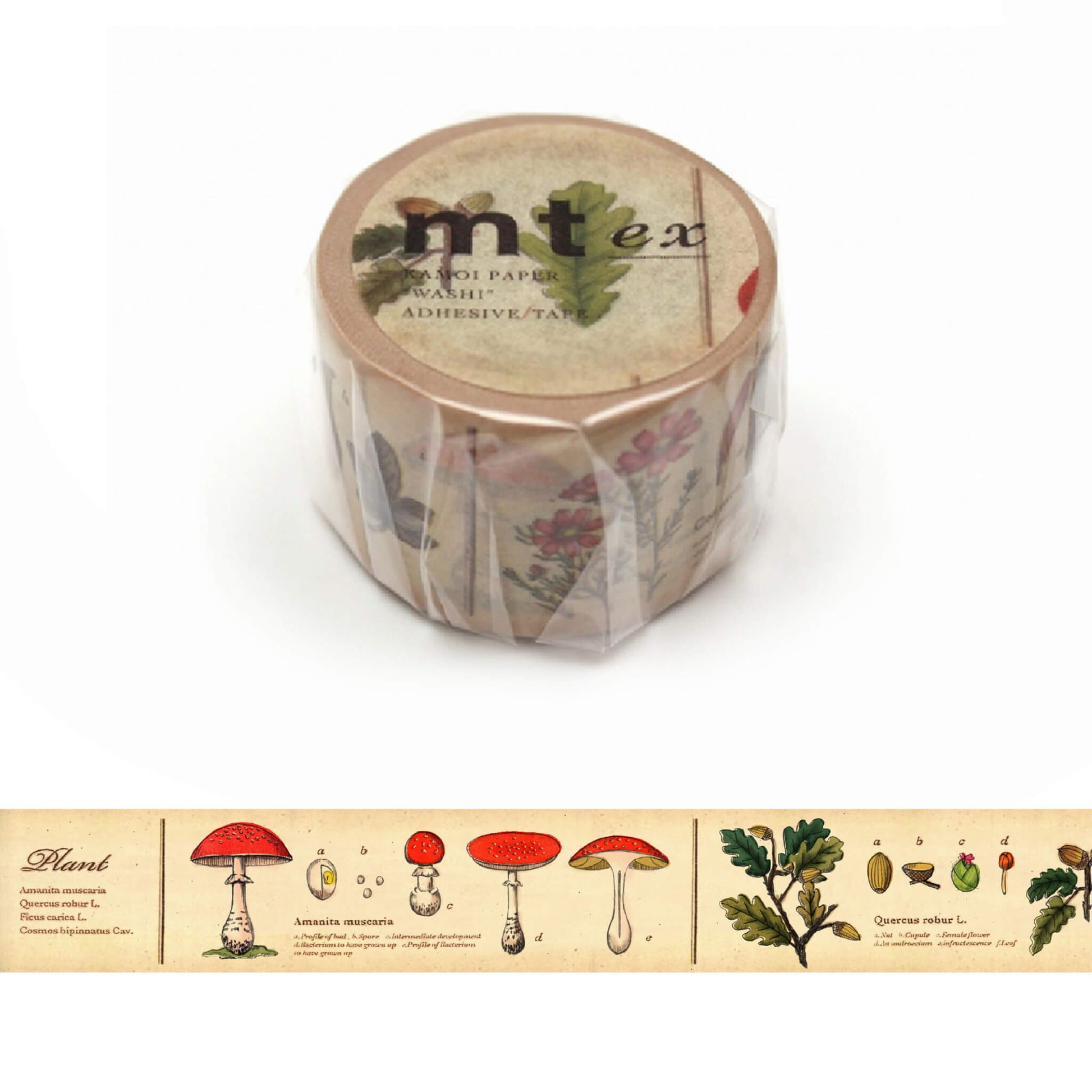 mt ex Washi Tape - Illustrated Encyclopedia - Plants [30mm] - Washi Tapes