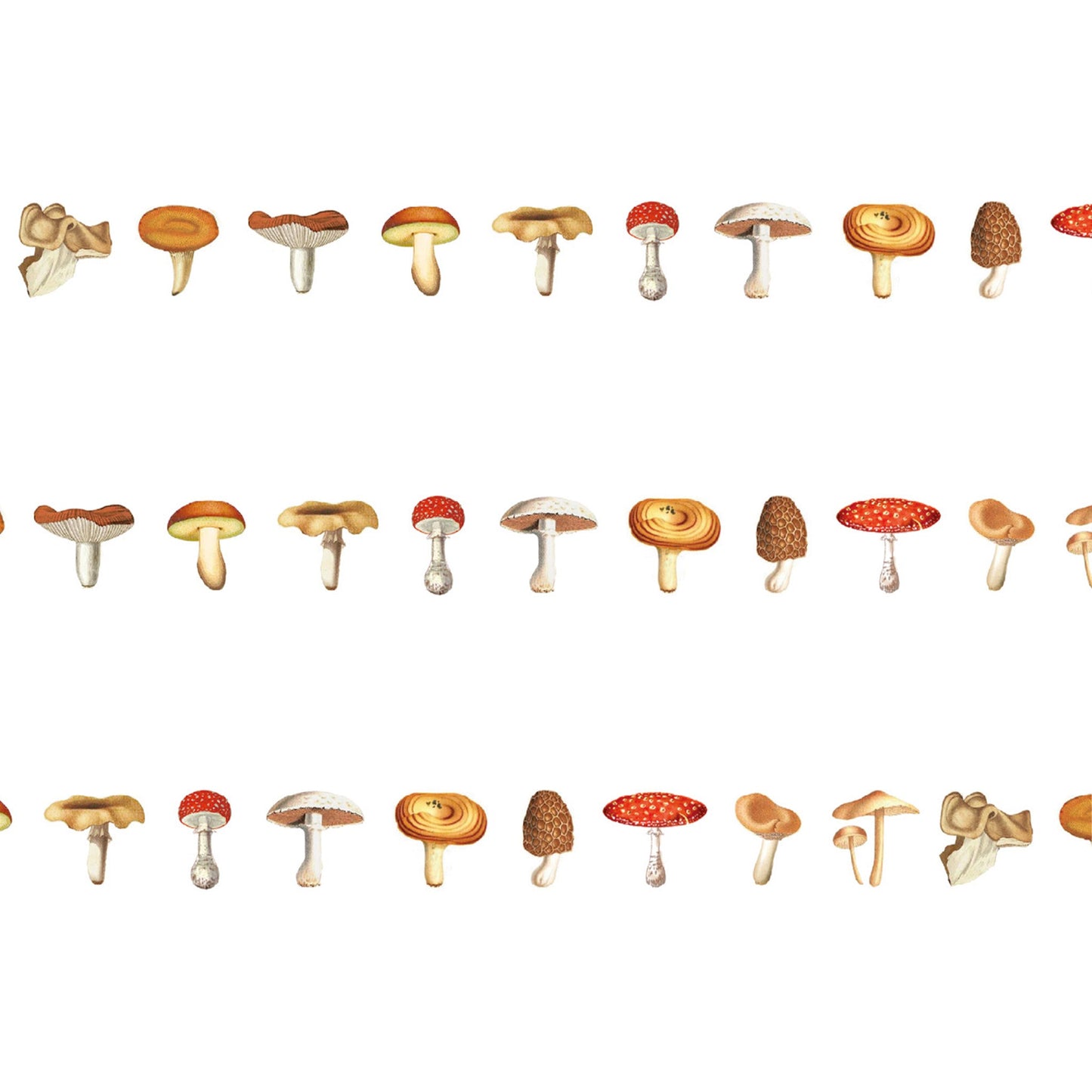 MT ex Washi Tape - Mushroom [15mm Width] - Washi Tapes