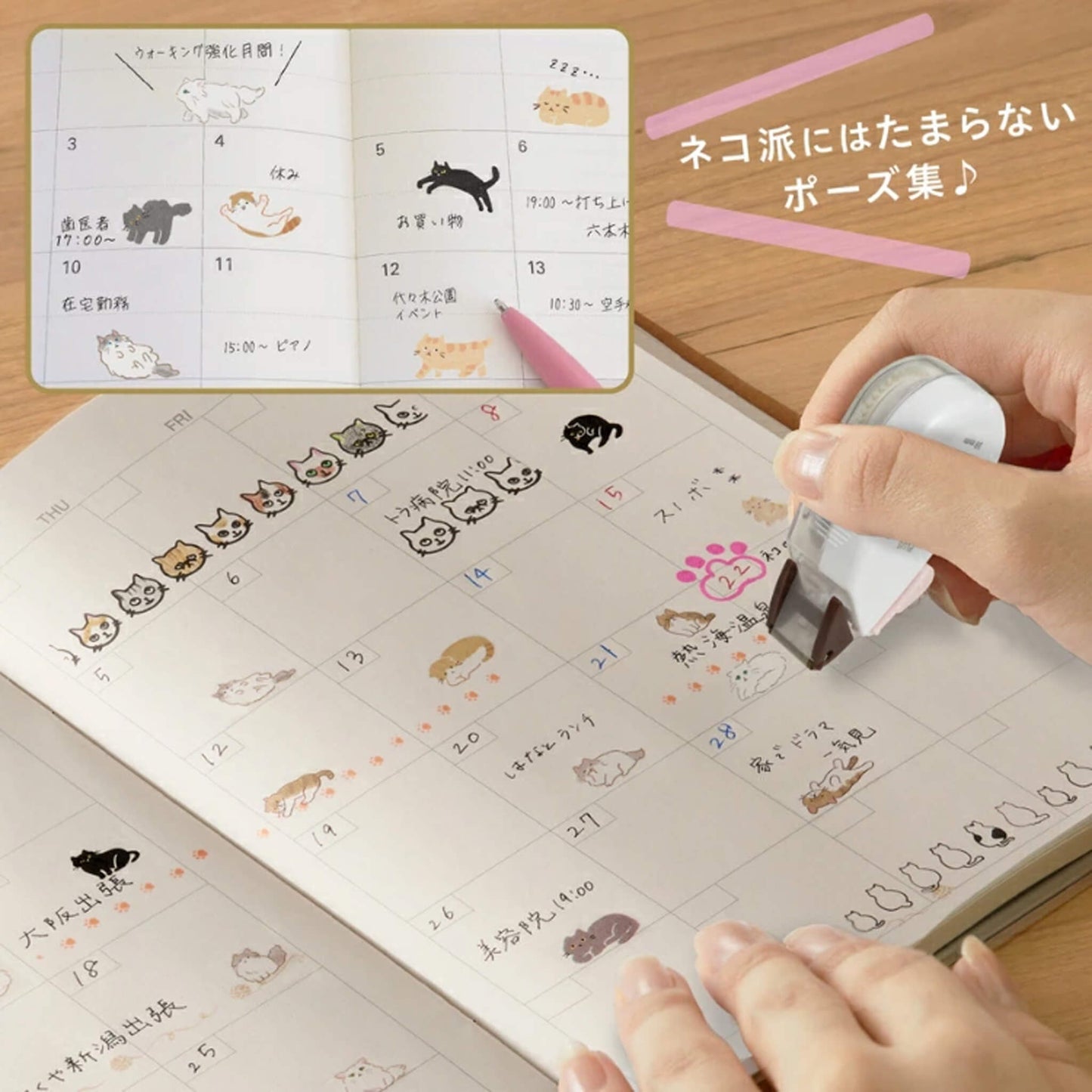 PLUS Deco Rush Wide Limited - Neko Rush - Minuet - Deco Rush