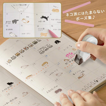 PLUS Deco Rush Wide Limited - Neko Rush - Minuet - Deco Rush