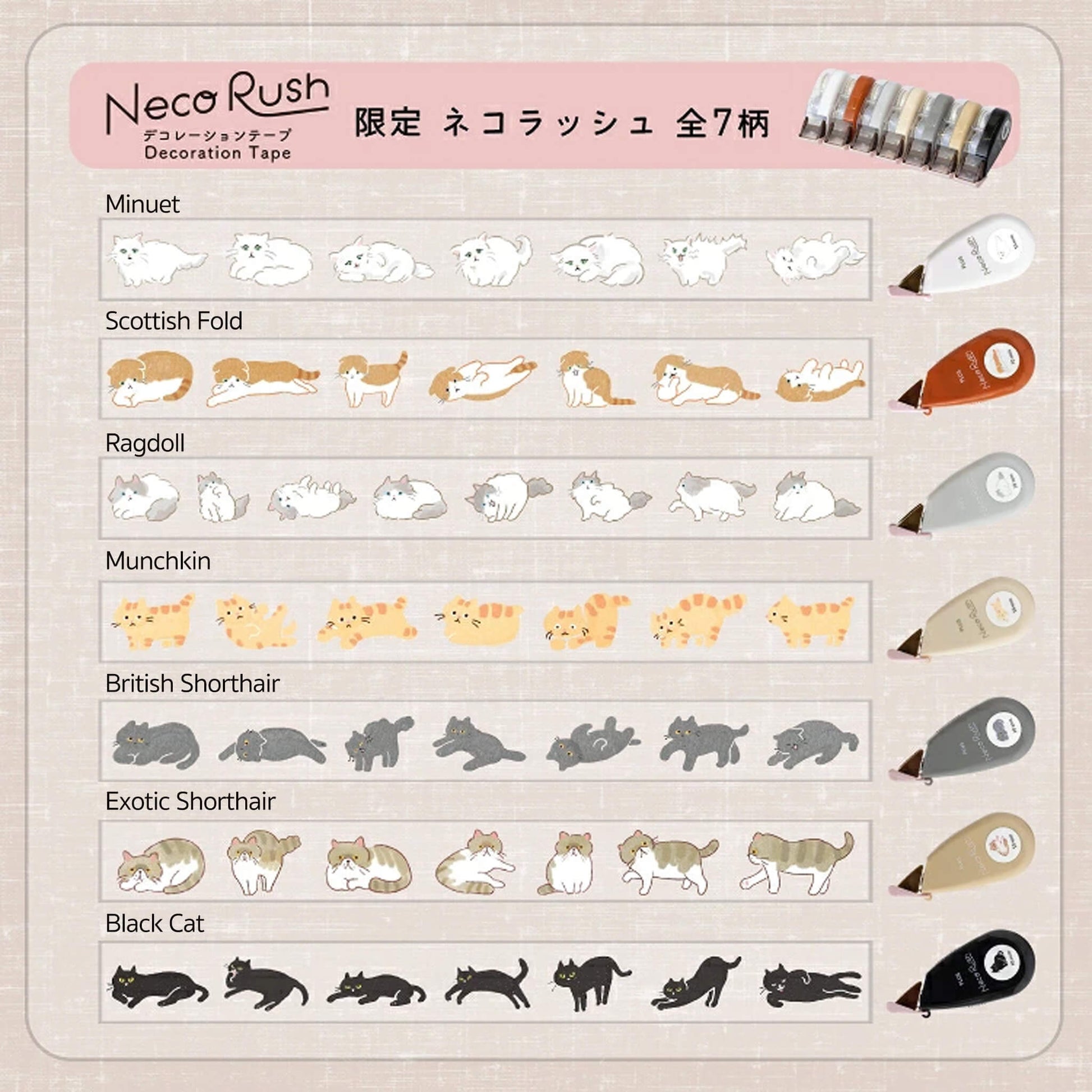 PLUS Deco Rush Wide Limited - Neko Rush - Minuet - Deco Rush