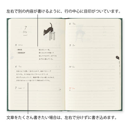 [PRE-ORDER] Midori Book Style Diary 2027 - Cat Green [B6 Variant] - 2027 Planners & Diaries