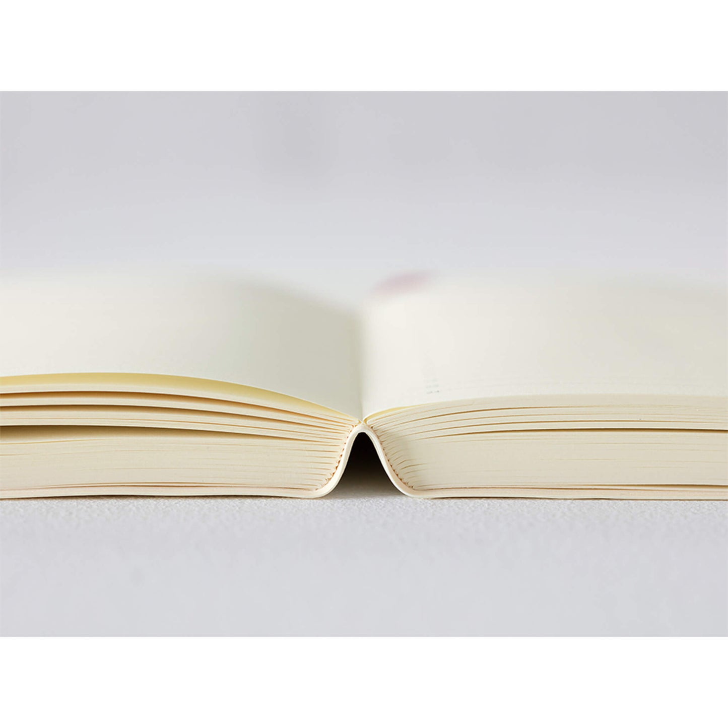 [PRE - ORDER] Midori MD Notebook Diary 2026 1 - Day - 1 - Page A5 - 2026 Diaries & Planners
