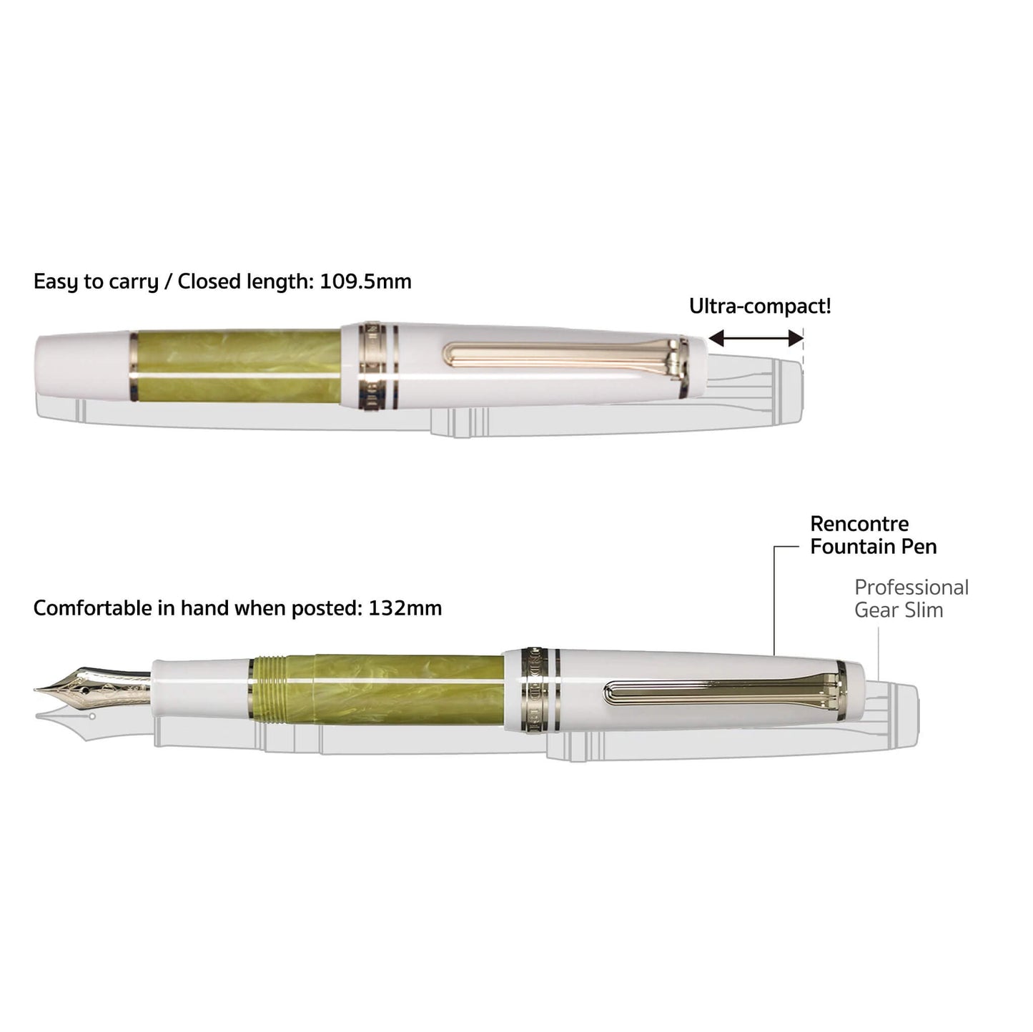 SAILOR Rencontre Limited Edition Fountain Pen - Pistache [MF Nib] - Fountain Pens