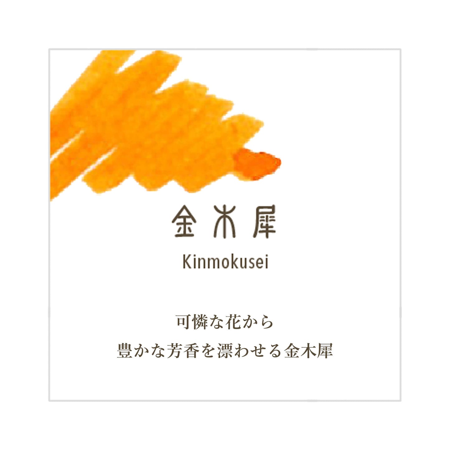 Sailor Shikiori Kinmokusei Fountain Pen Ink Cartridge - Ink Cartridge