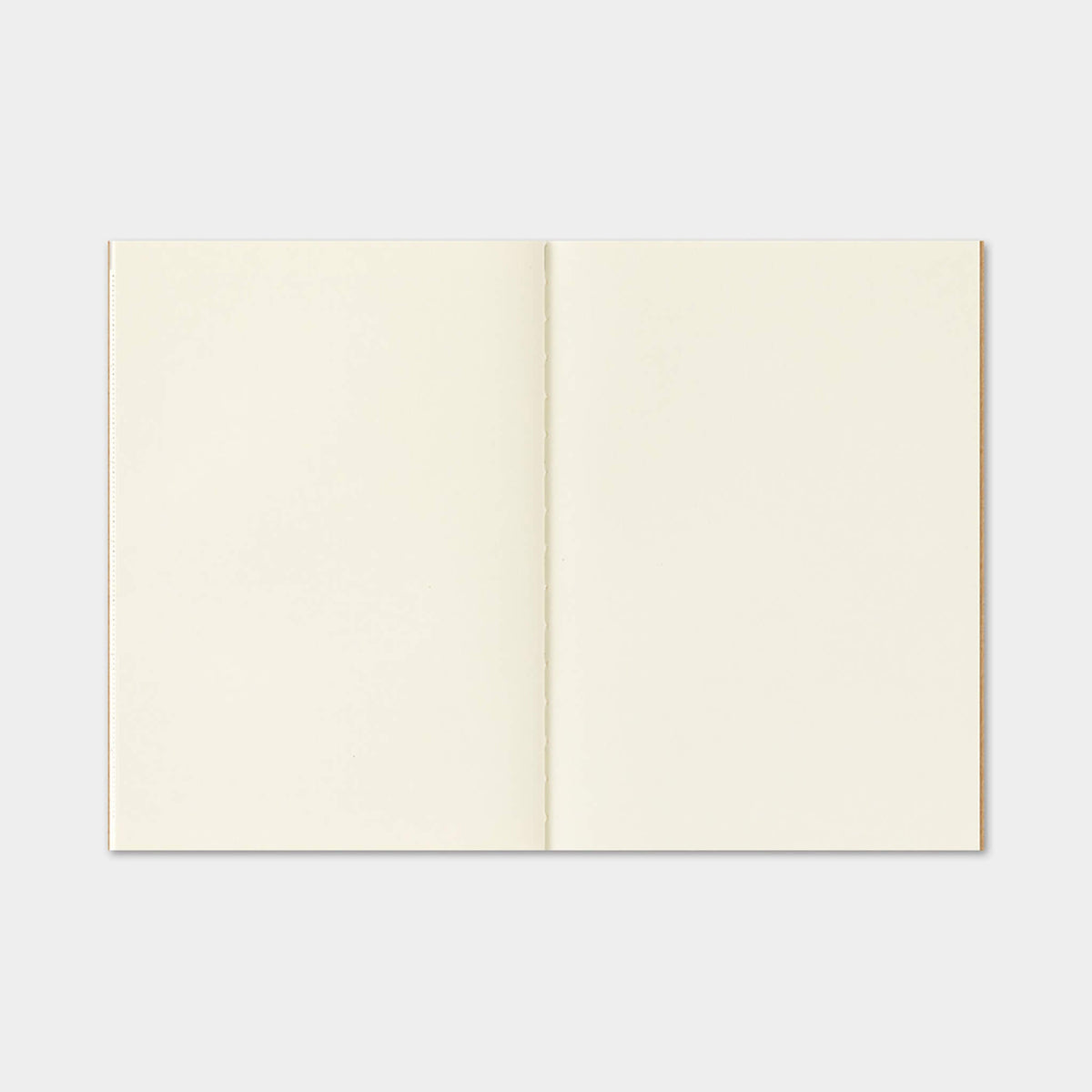 TRAVELER'S notebook 2027 - Monthly Refill - Passport Size - 2027 Planners & Diaries