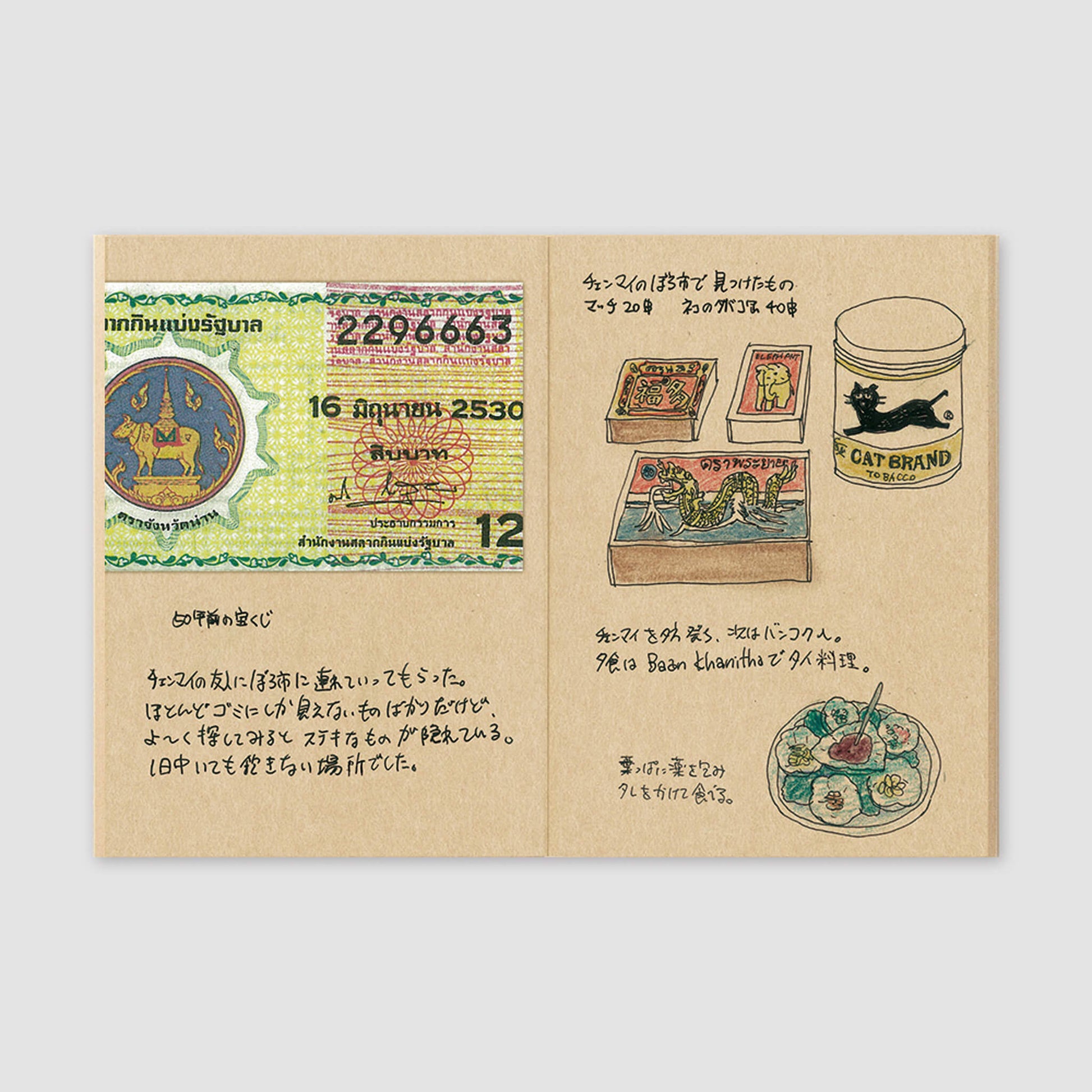 TRAVELER'S notebook - Kraft Paper Notebook Refill 009 - Passport Size - Notebooks
