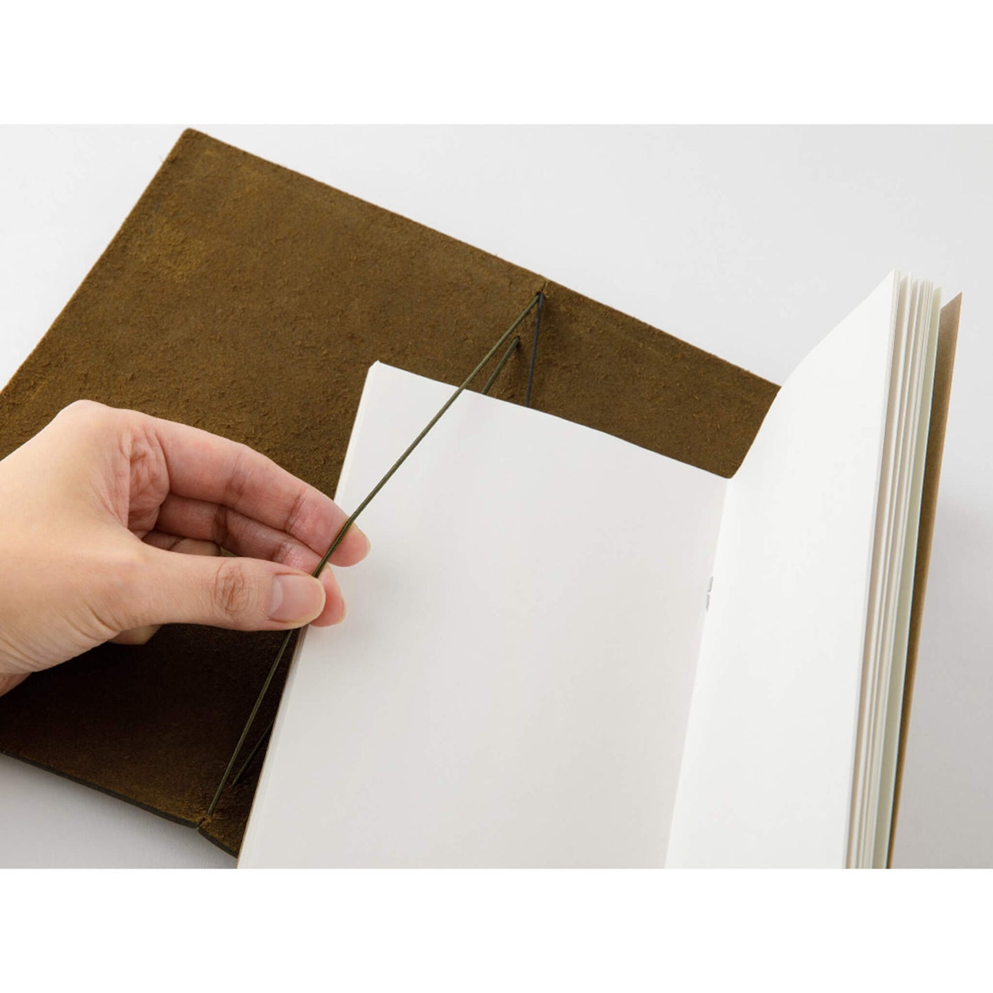 TRAVELER'S notebook - Regular Size - Olive - Notebooks