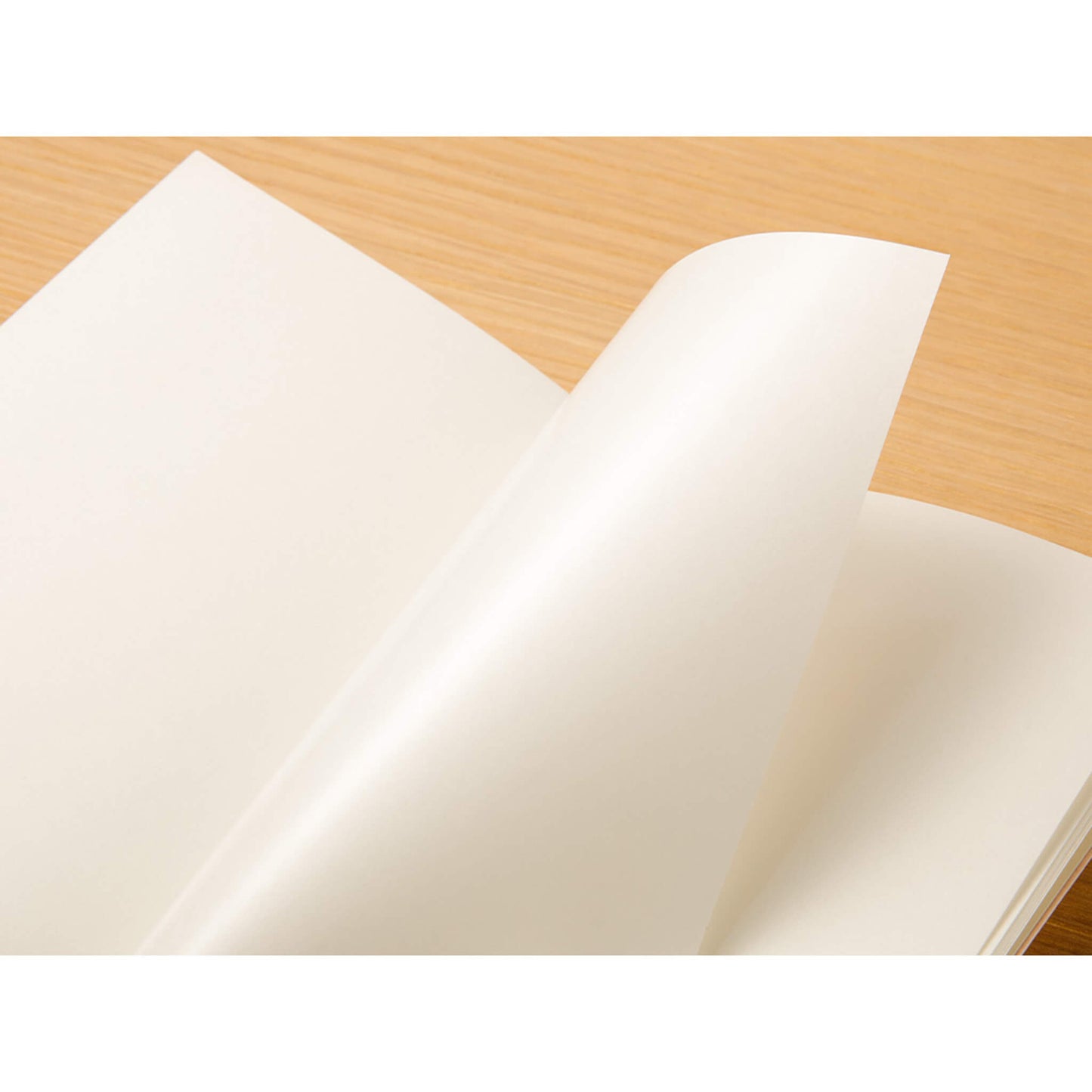 TRAVELER'S notebook - Sticker Release Paper Notebook Refill 017 - Passport Size - Sticker Release Books