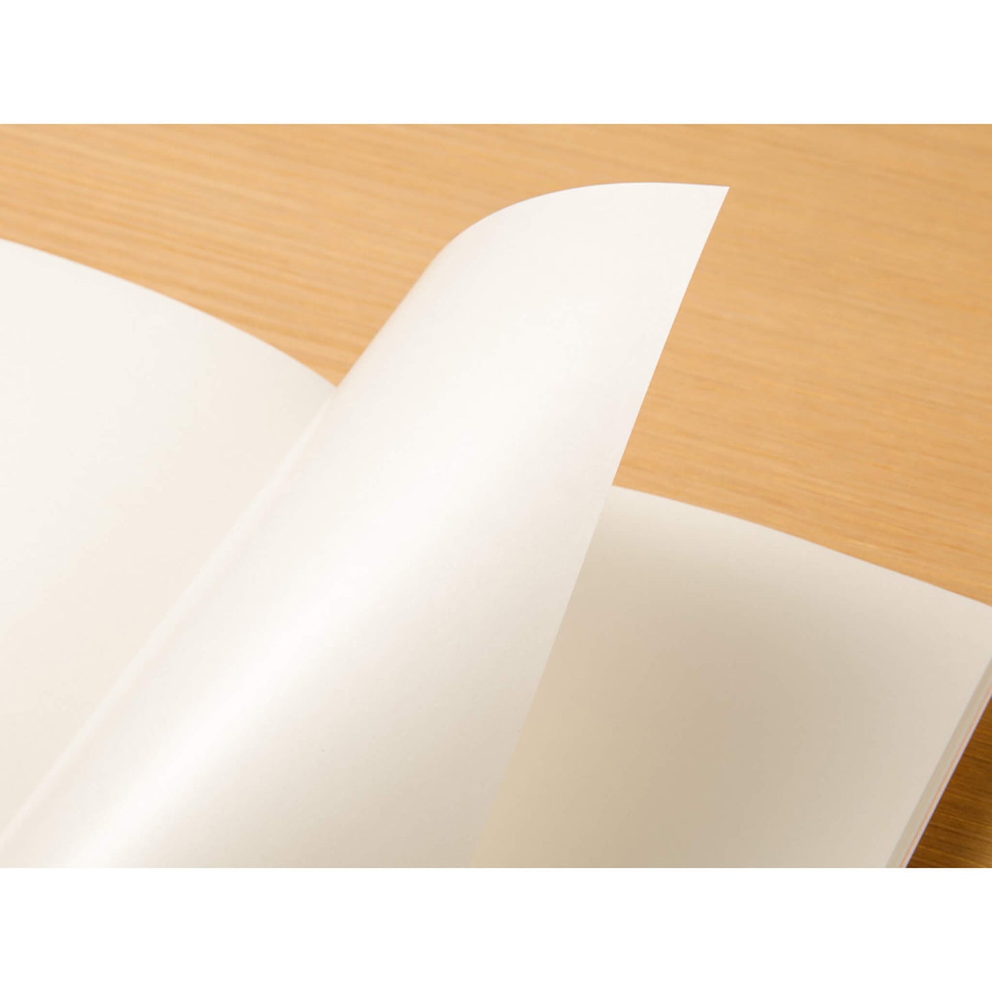 TRAVELER'S notebook - Sticker Release Paper Notebook Refill 031 - Regular Size - Sticker Release Books