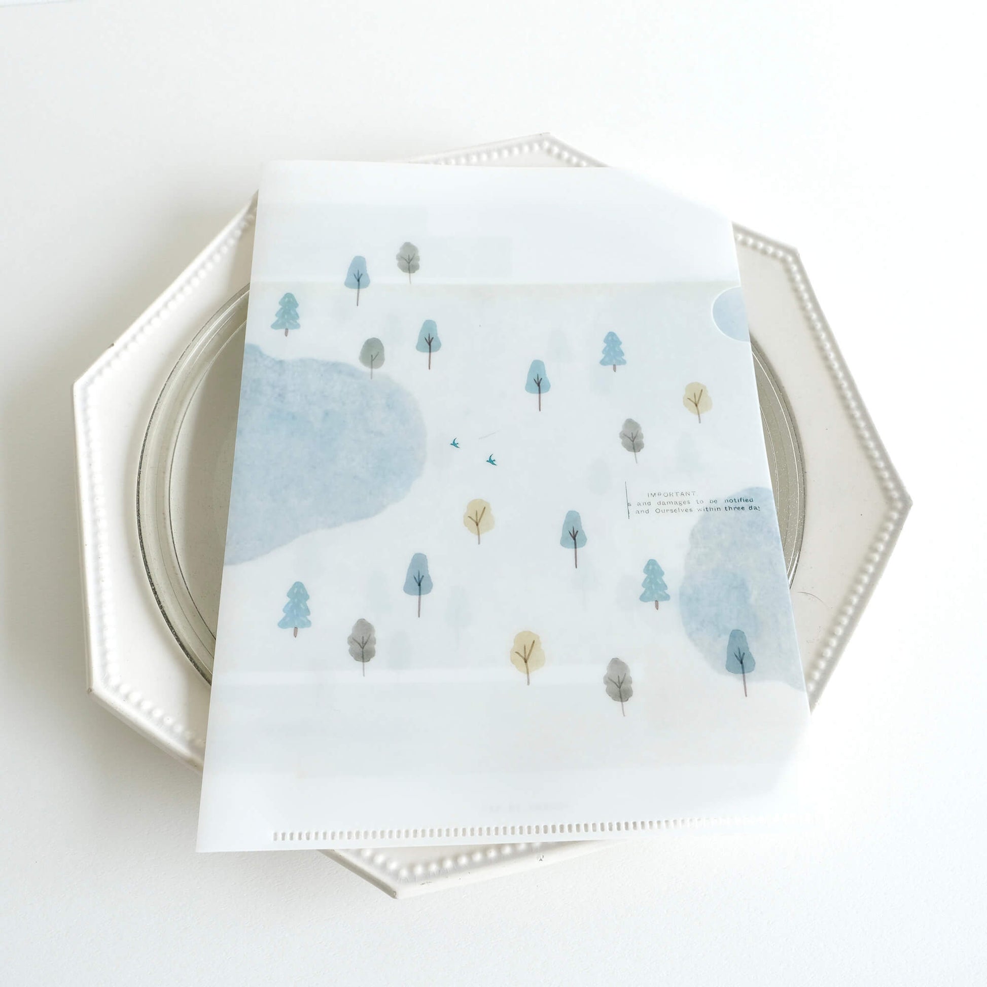 Yohaku Clear File M - 181 A5 - Hiking - File Folders